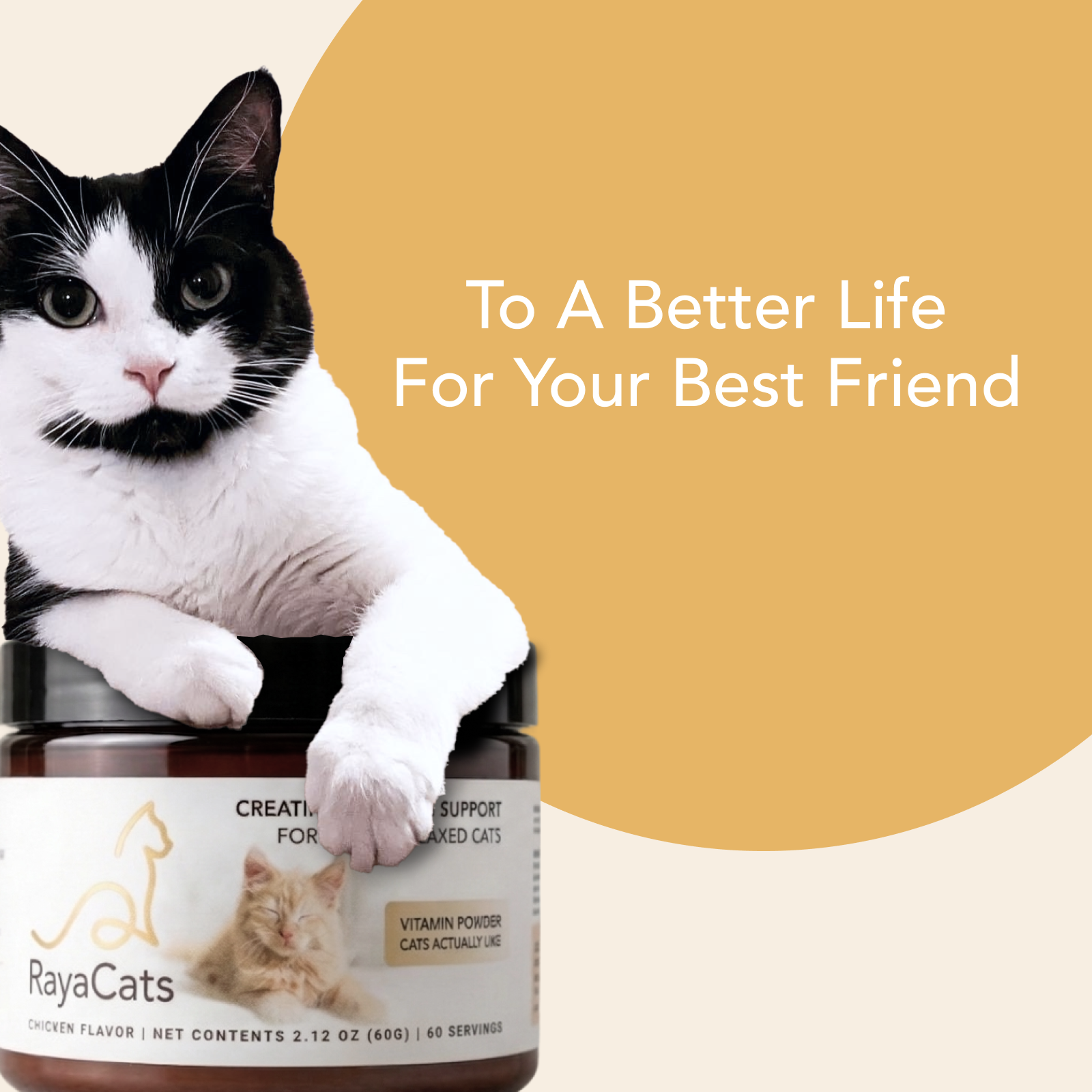 Cat sitting on a RayaCats product with text 'To A Better Life For Your Best Friend' on a beige background
