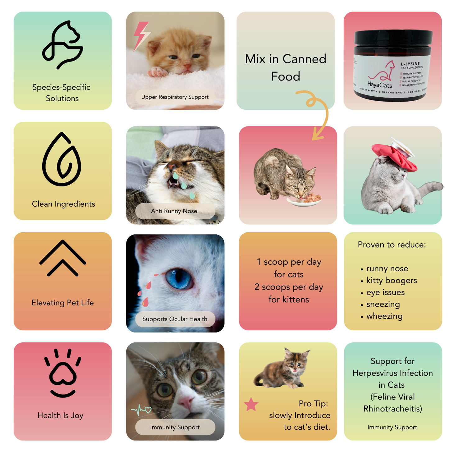 Grid of cat supplement benefits for HayaCats L-Lysine Powder, highlighting immune support, ocular health, clean ingredients, upper respiratory relief, and dosing instructions."